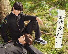 上海金山网站推广优化